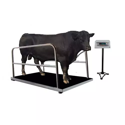 Animal-Weighing-Scale-Iron-Grill-FV-1.jpg